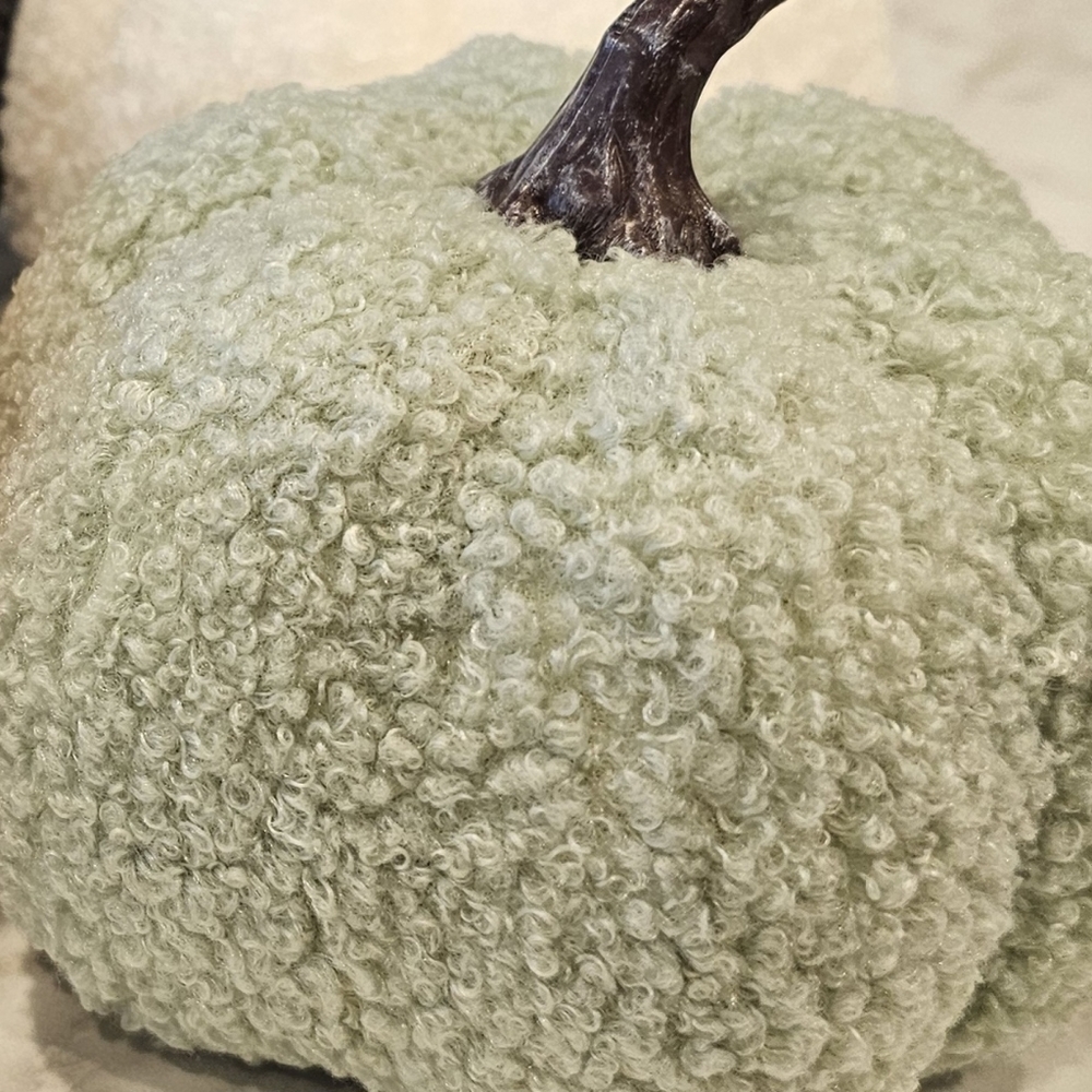 Sherpa Pumpkins Set of 4 Medium - Picture 7 of 13
